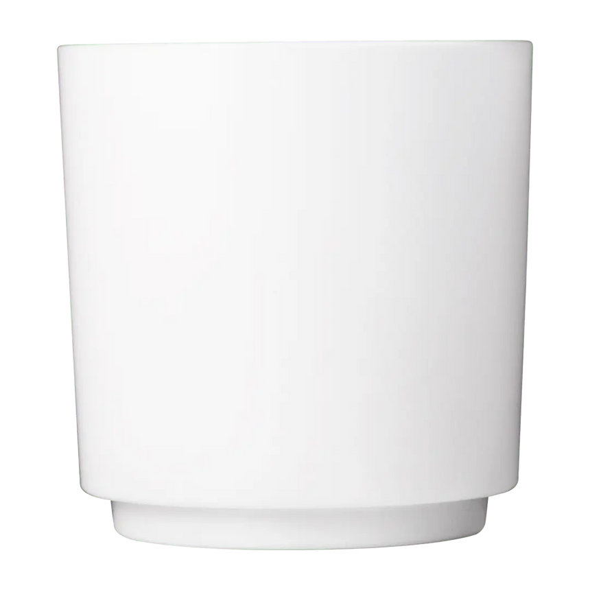 Elite Rocks 10 oz. Drinique