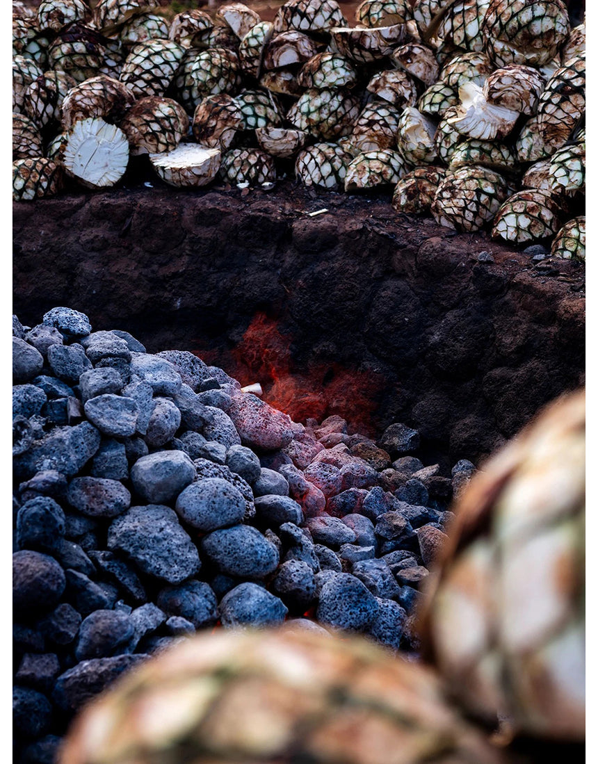 Clase Azul Blanco Tequila Cooking