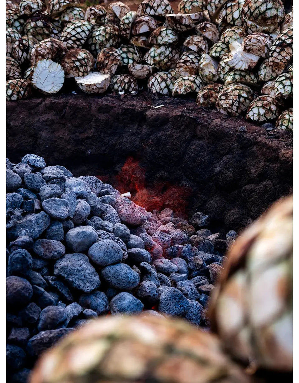 Clase Azul Blanco Tequila Cooking