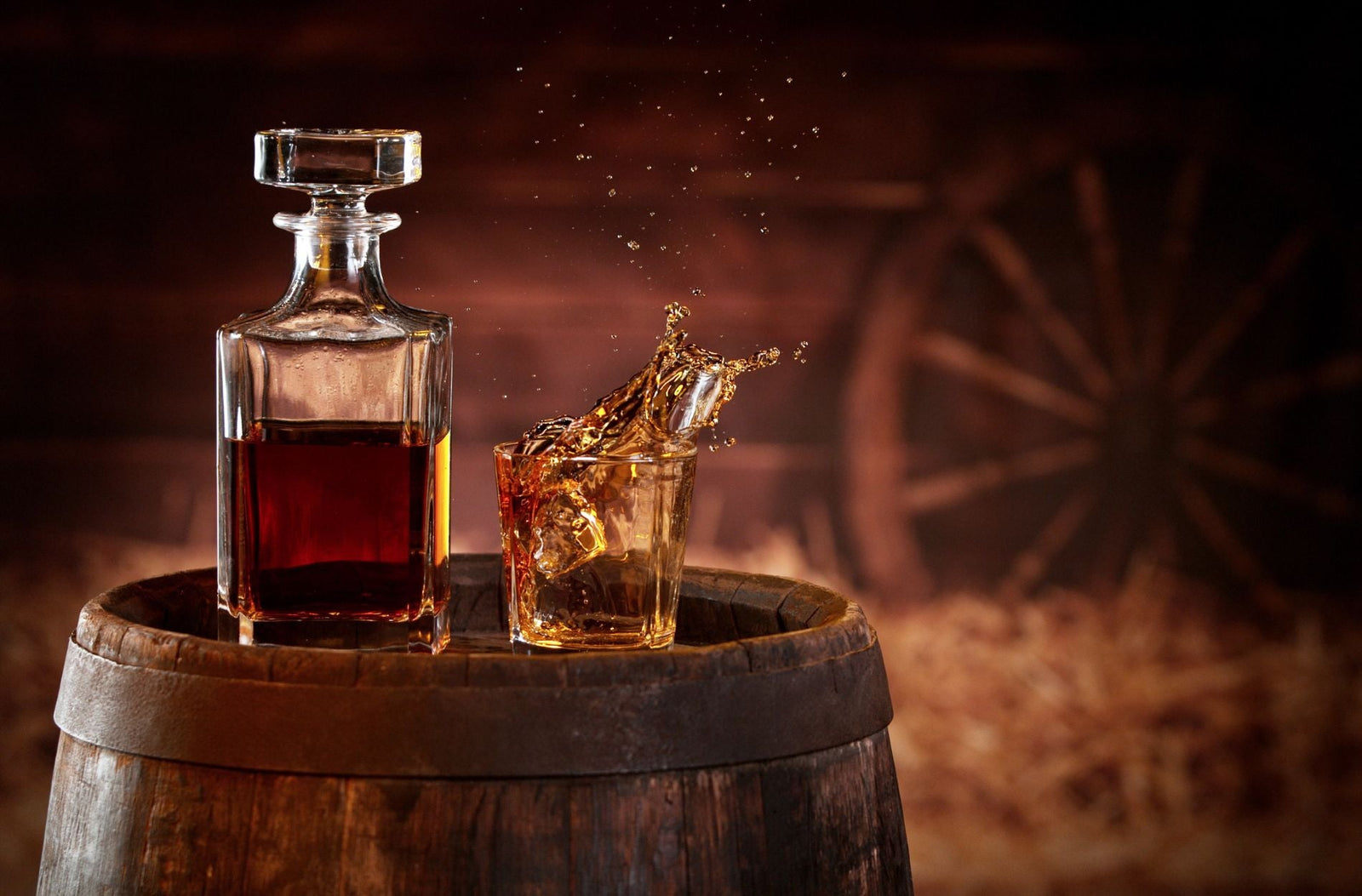 Stocking Up on Miniature Liquors for Family Reunions