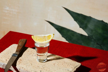 Patrón Silver and Reposado tequila comparison