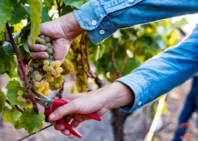 Hanson Organic Vodka