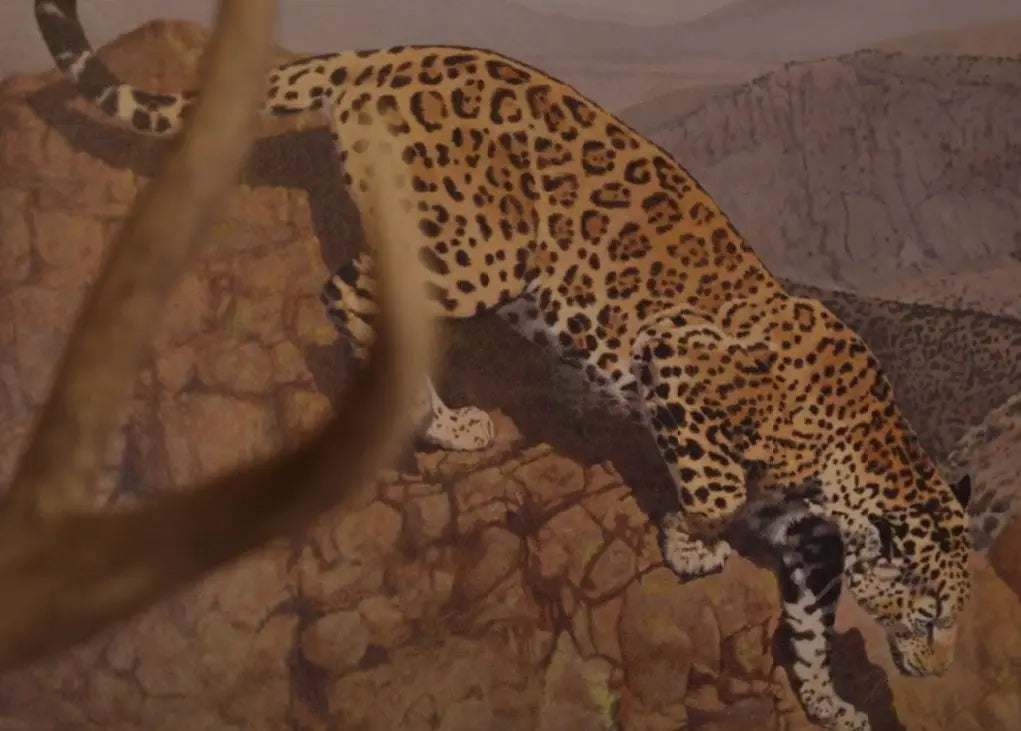 Shop Alma Del Jaguar