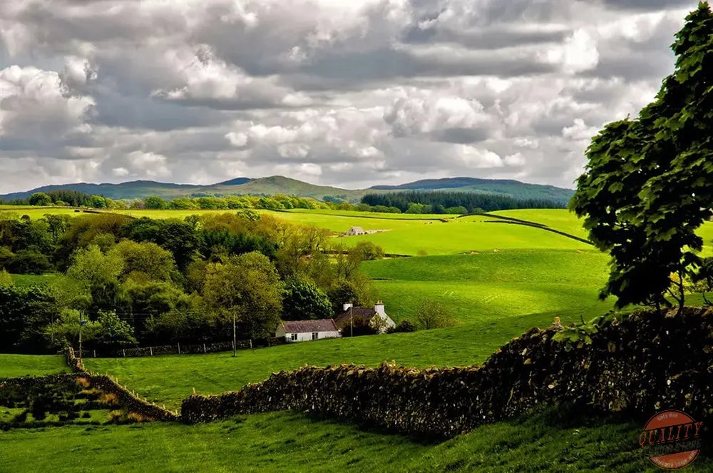 Buy Lowland Scotch Whisky | Quality Liquor Store