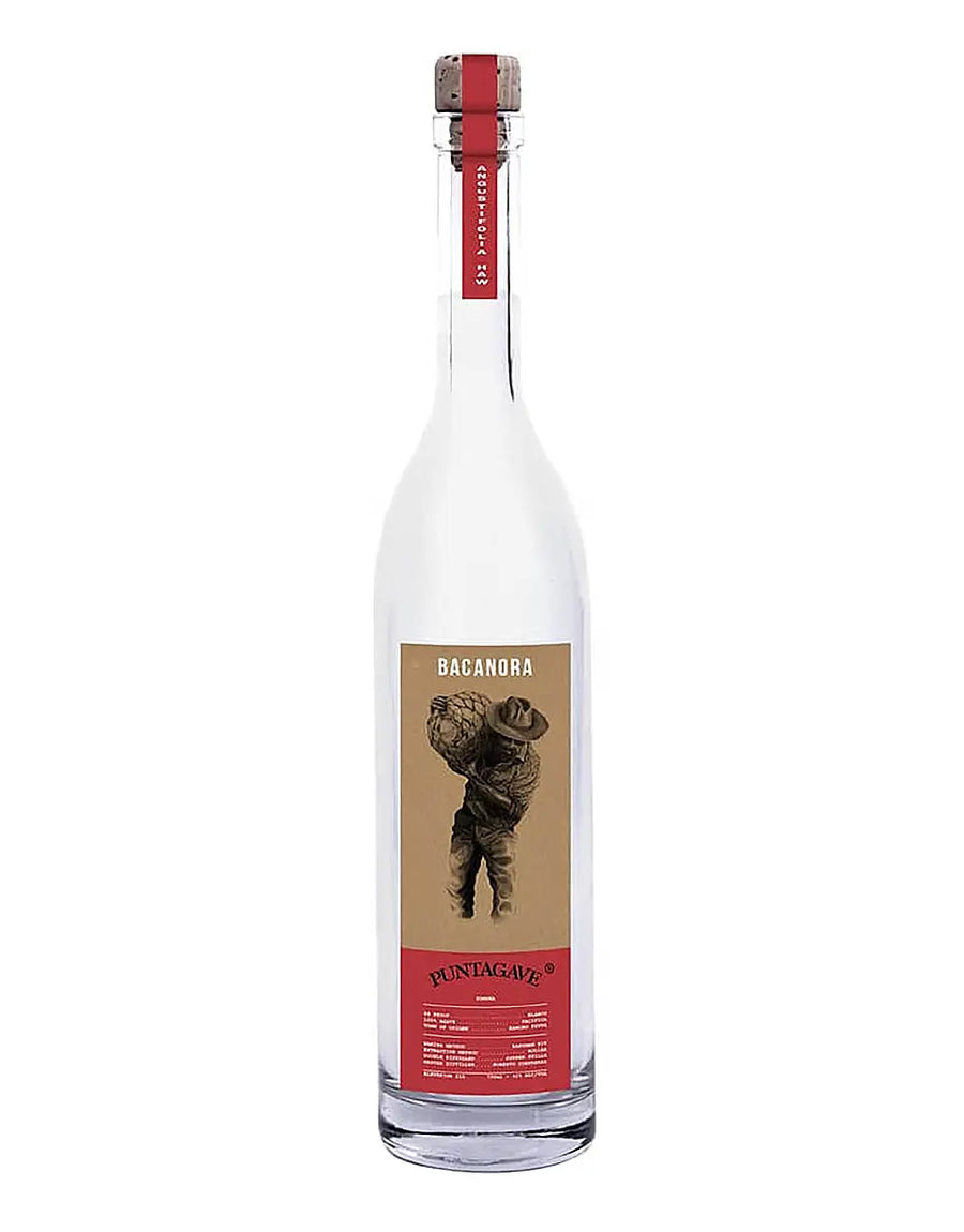 Buy Puntagave Sonora Rustico Bacanora