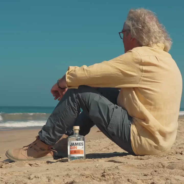 詹姆斯金酒加州梦