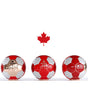 Buy Score Tequila Reposado Canada Soccer Ball Edition